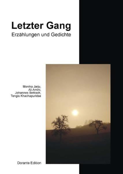 Letzter Gang: Erzählungen und Gedichte von Monika Jarju, Ali Amini, Johannes Bettisch, Tengis Khachapuridse u.v.a. Contemporary literature Books