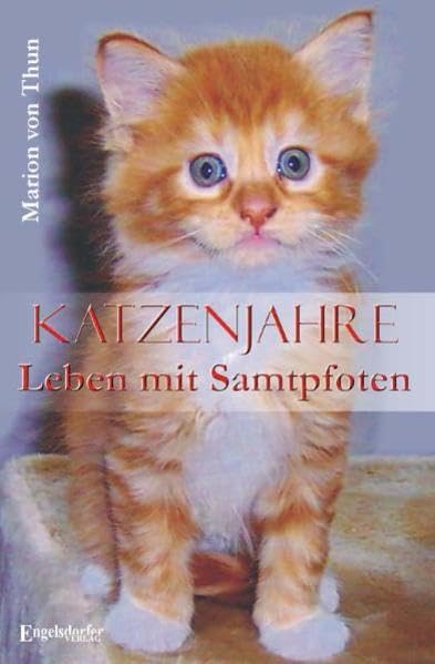 Katzenjahre. Leben mit Samtpfoten Pets