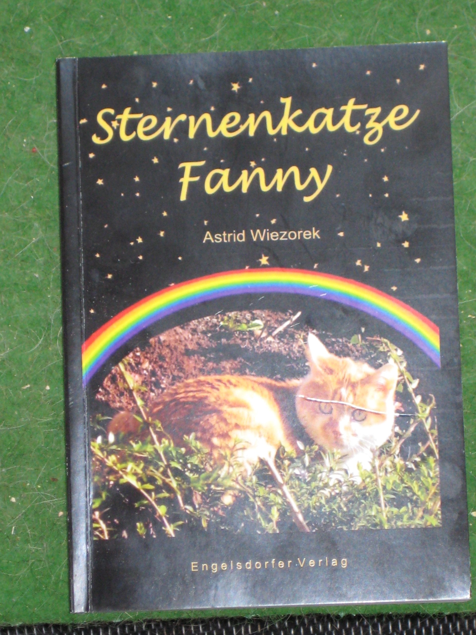 Sternenkatze Fanny book
