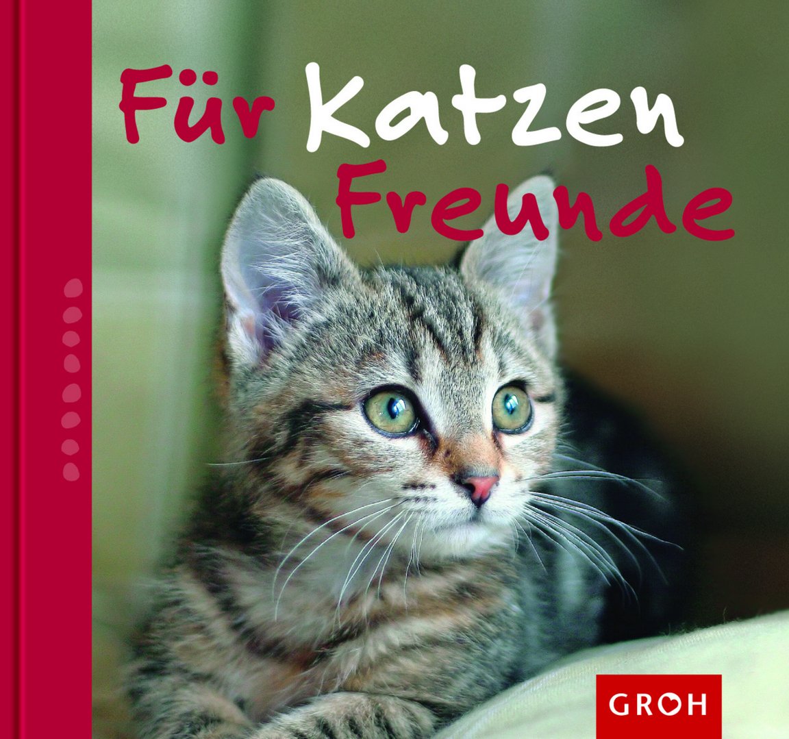 Für Katzenfreunde (Zeit für Freunde) Pets