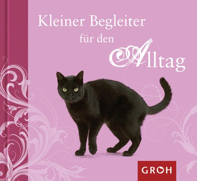 Kleiner Begleiter für den Alltag (Mini-Mythen) Lifestyle