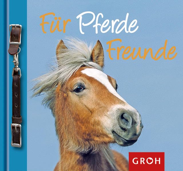 Für Pferdefreunde (Zeit für Freunde) Pets
