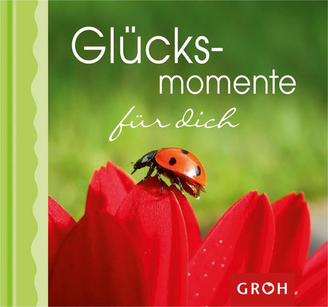 Glücksmomente für dich (Kleine Momente) Lifestyle