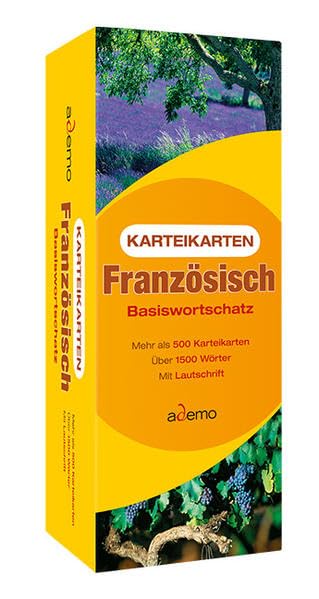 Karteikarten Basiswortschatz Französisch: (Auflage 1) Foreign Languages ​​& Dictionaries