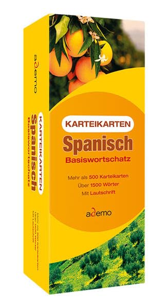 Karteikarten Basiswortschatz Spanisch: (1.Auflage) Foreign Languages ​​& Dictionaries