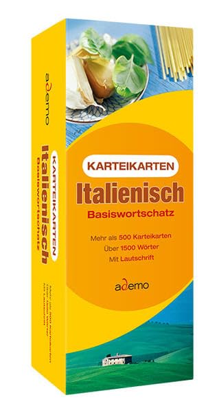 Karteikarten Italienisch Basiswortschatz book