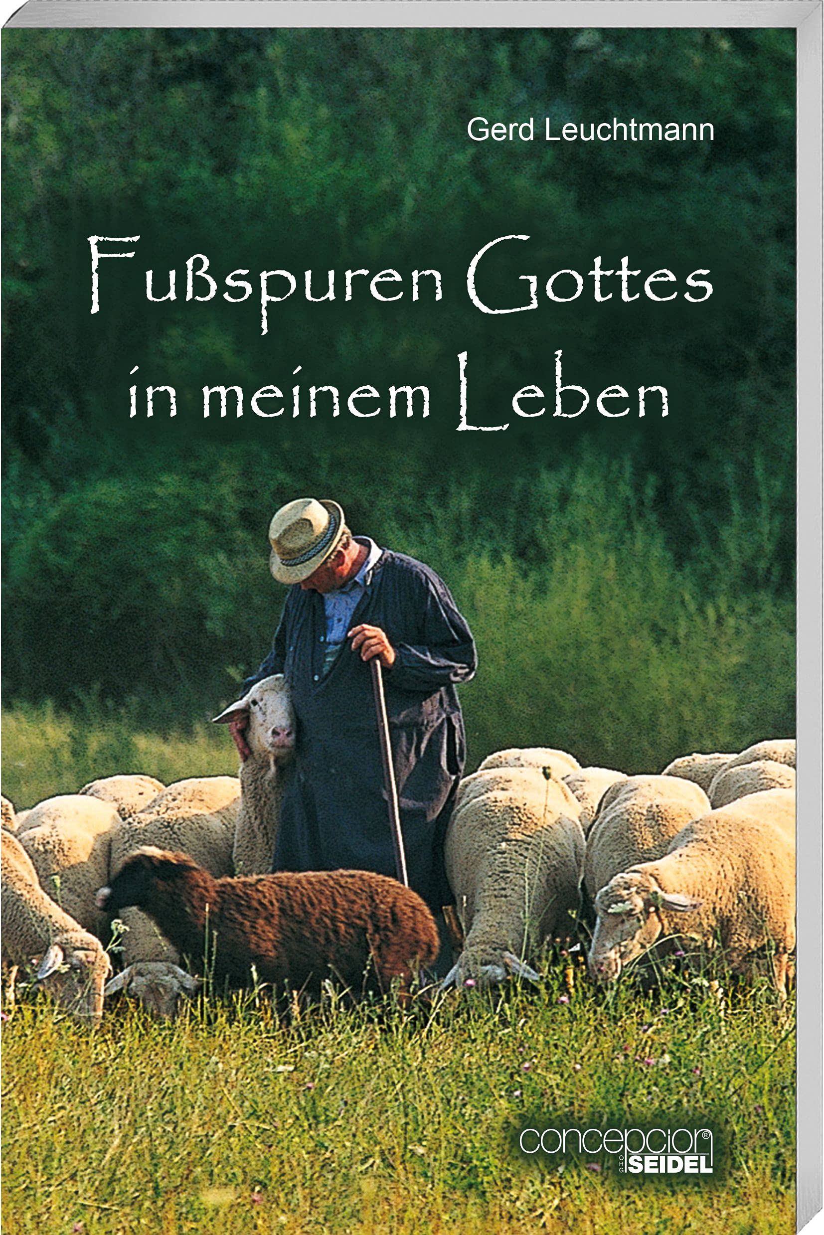 Fußspuren Gottes in meinem Leben Books