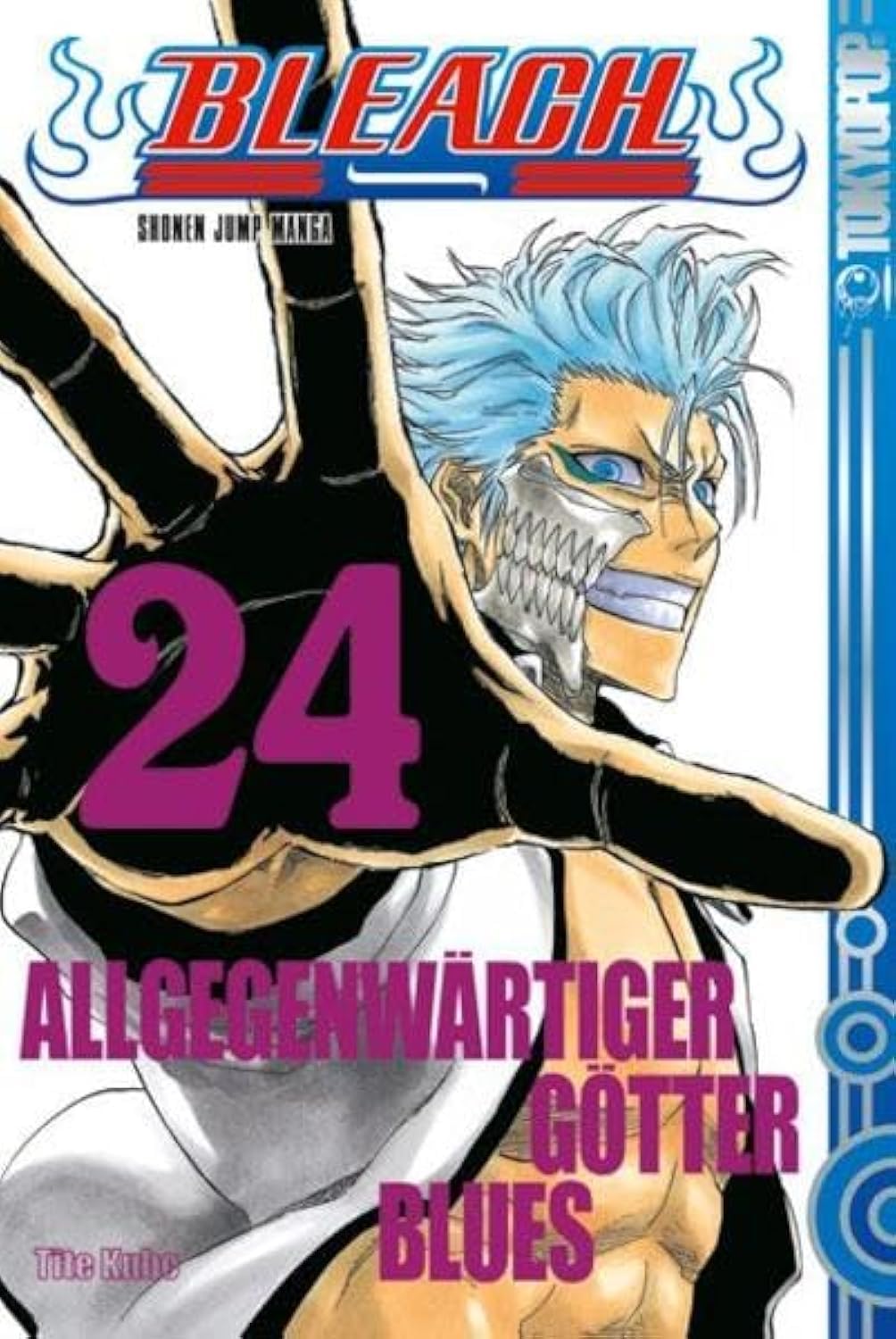 Bleach 24 Manga
