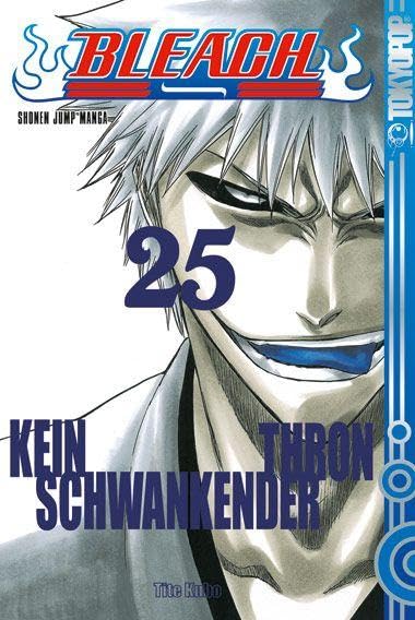 Bleach 25 Manga
