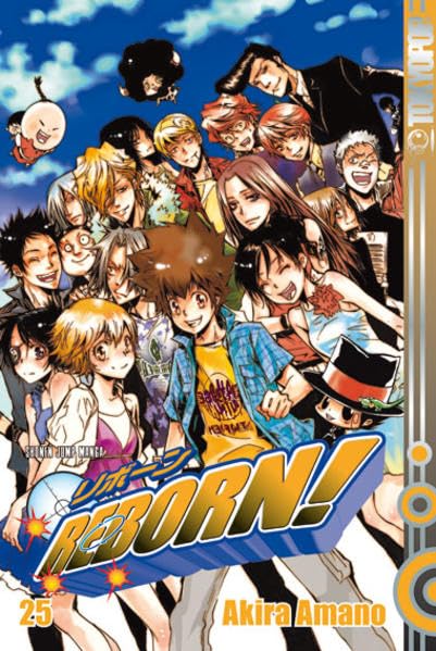 Reborn! 25: Die Vongola-Boxen Manga
