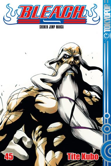 Bleach 45 Manga