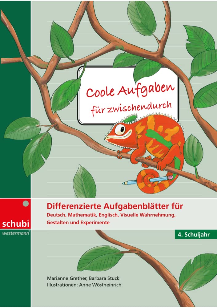 Coole Aufgaben für zwischendurch book