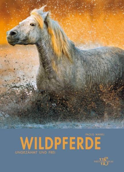 Wildpferde (Natur, Tiere) Pets