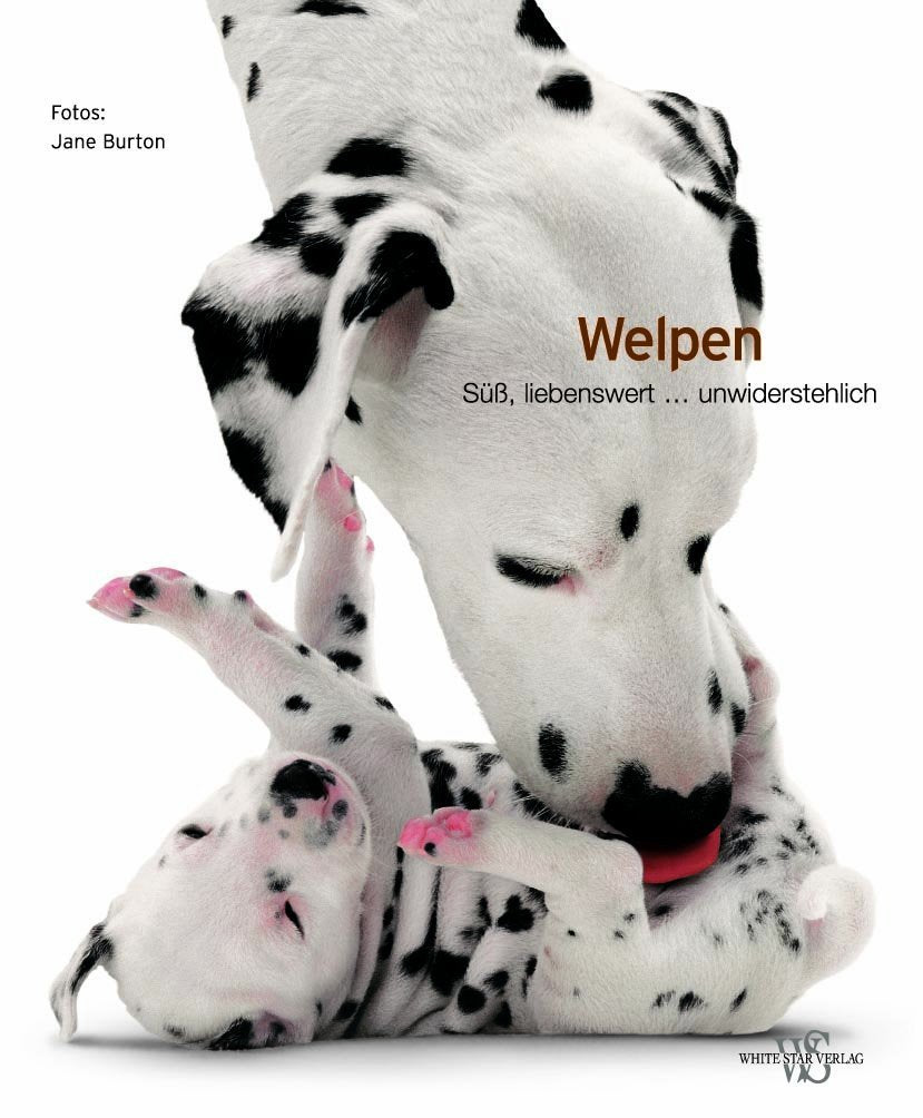 Welpen (Natur, Tiere) Pets