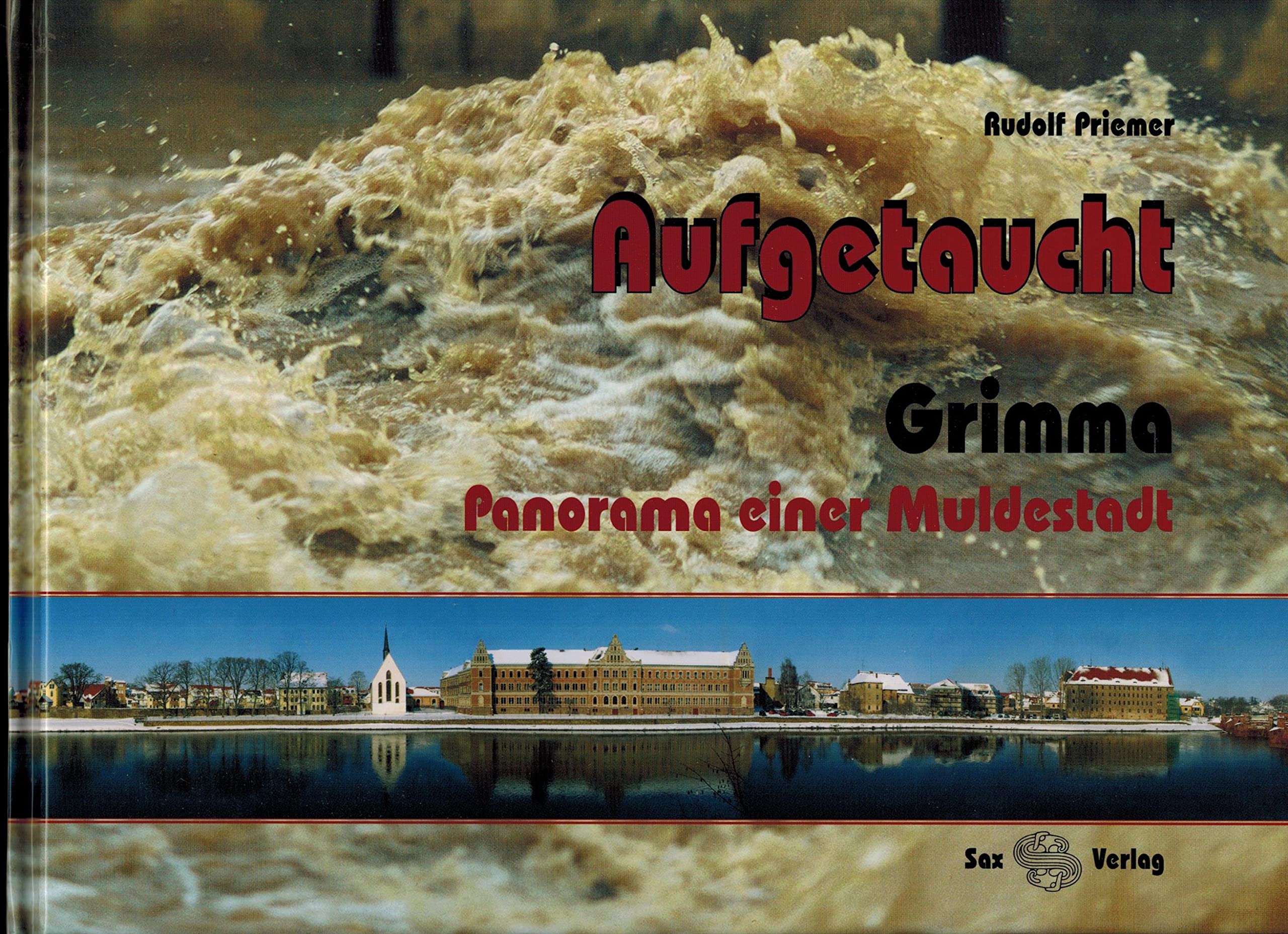 Aufgetaucht. Grimma – Panorama einer Muldestadt: Grimma - Panorama einer Muldenstadt Leisure, Home & Garden