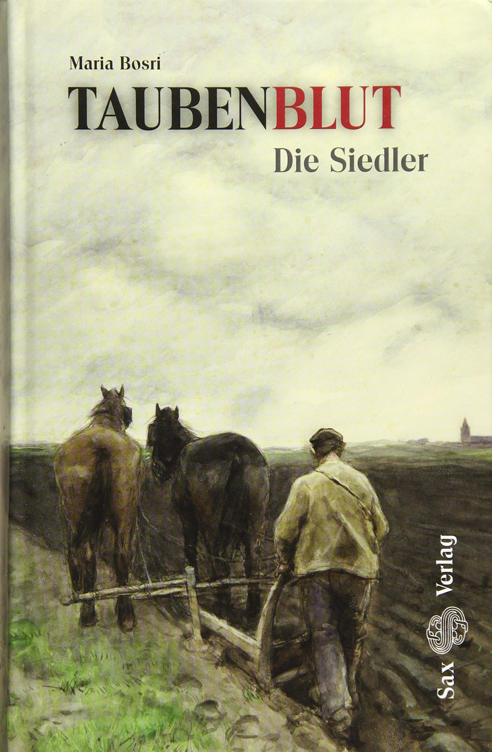 Taubenblut. Die Siedler (Band 1) Historical Fiction