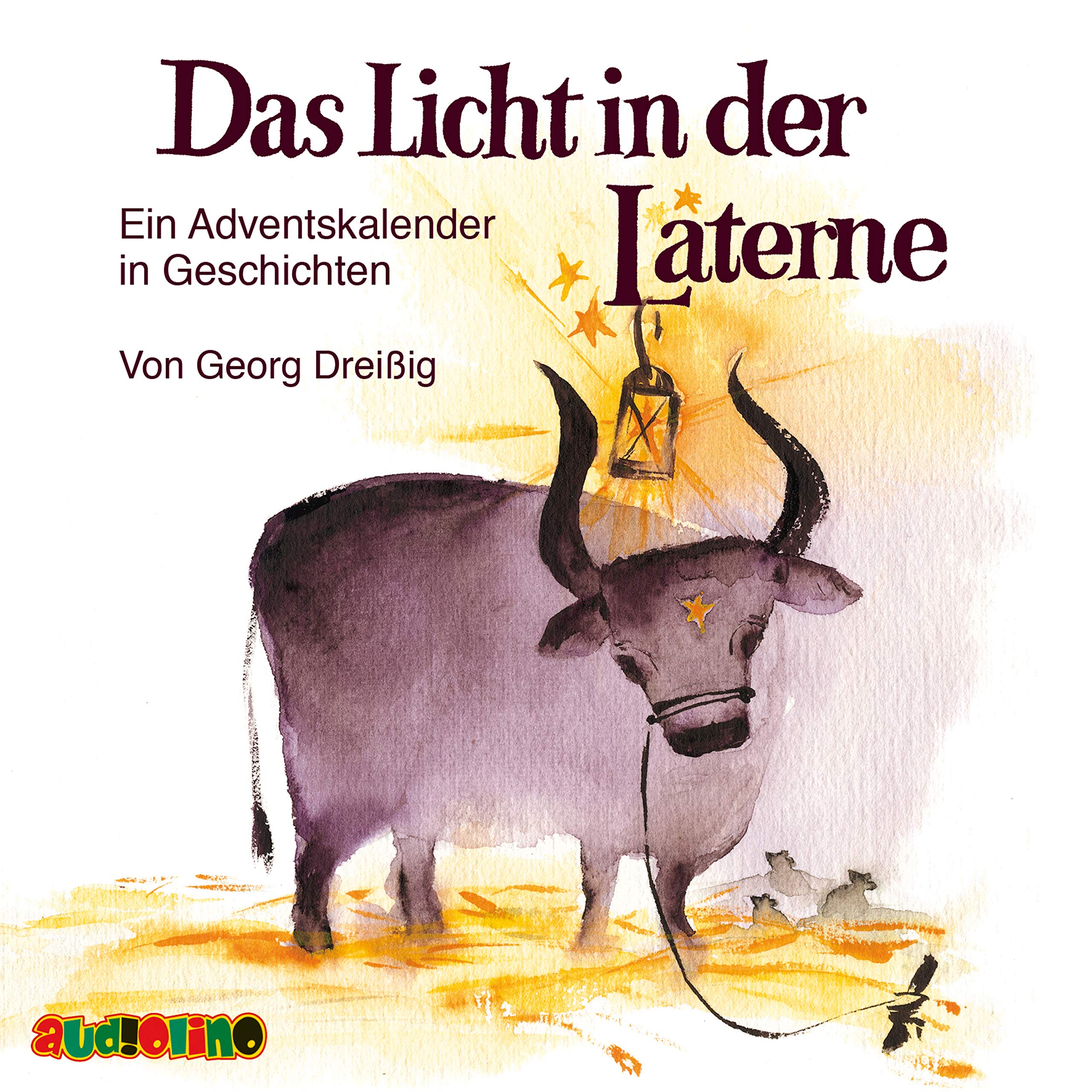 Das Licht in der Laterne: Ein Adventskalender in Geschichten Novels & Short Stories
