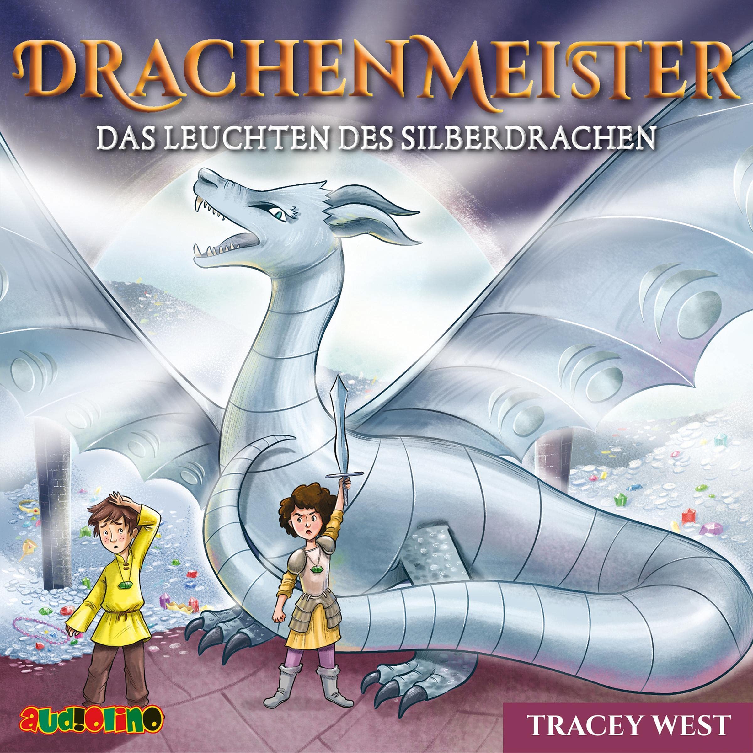 Drachenmeister (11): Das Leuchten des Silberdrachen Novels & Short Stories