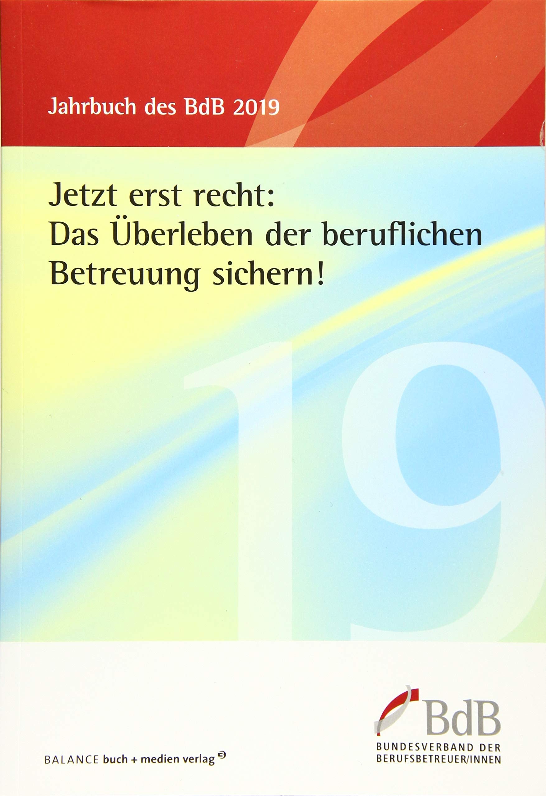 Jetzt erst recht: Das Überleben der beruflichen Betreuung sichern! book