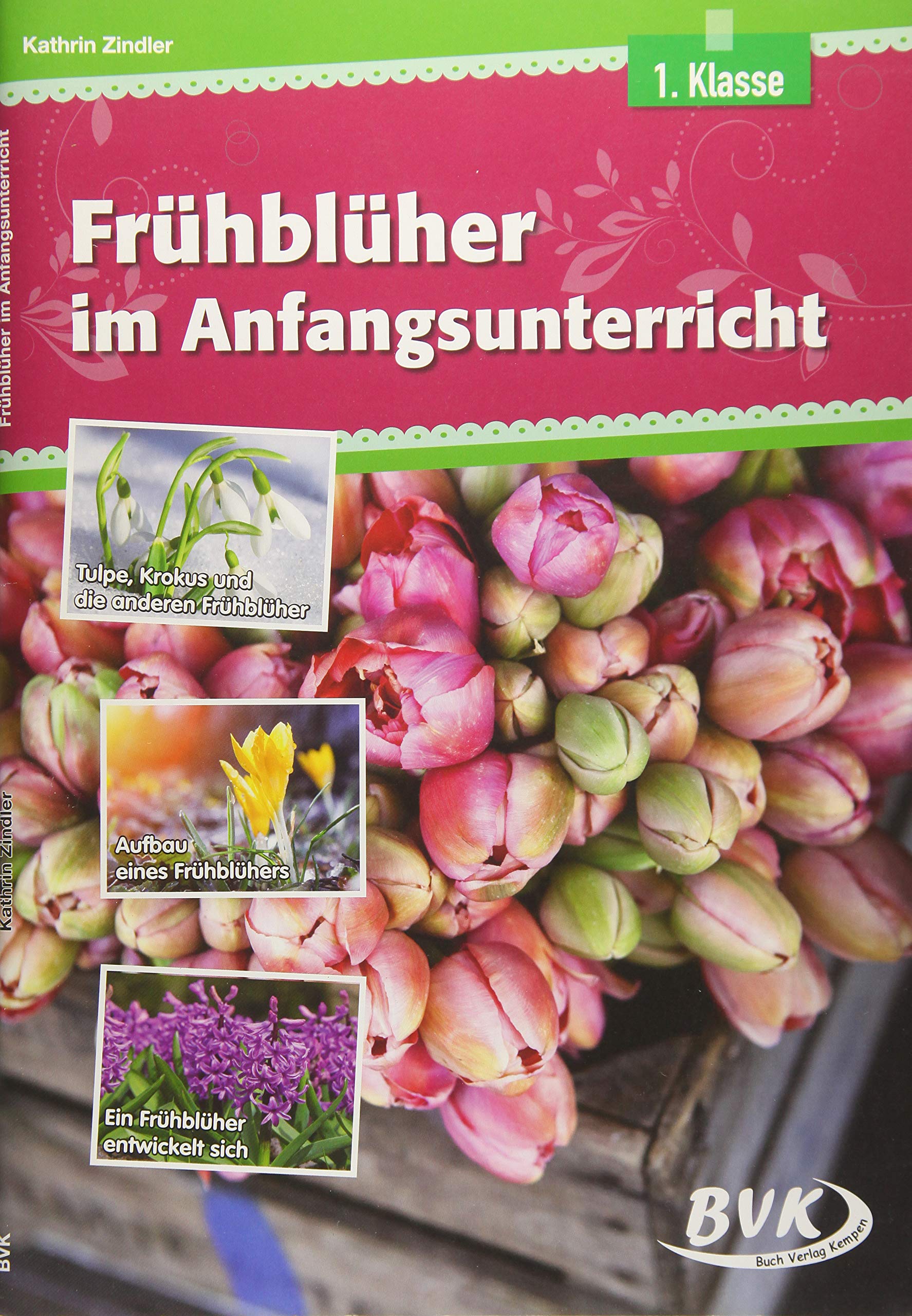 Frühblüher im Anfangsunterricht Professional & Reference Books