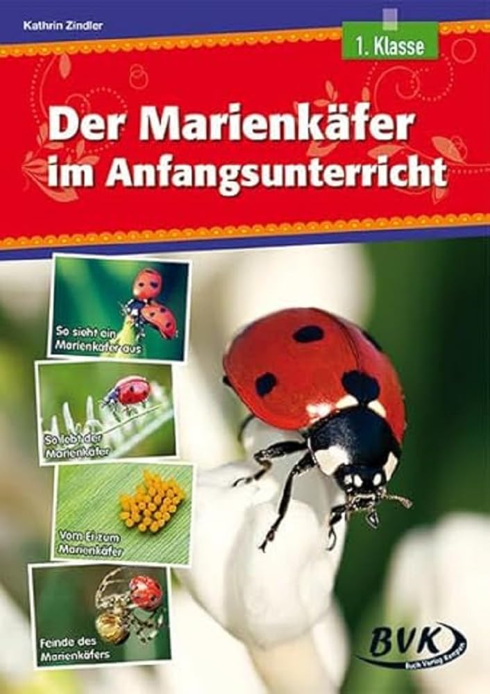 Der Marienkäfer im Anfangsunterricht Professional & Reference Books