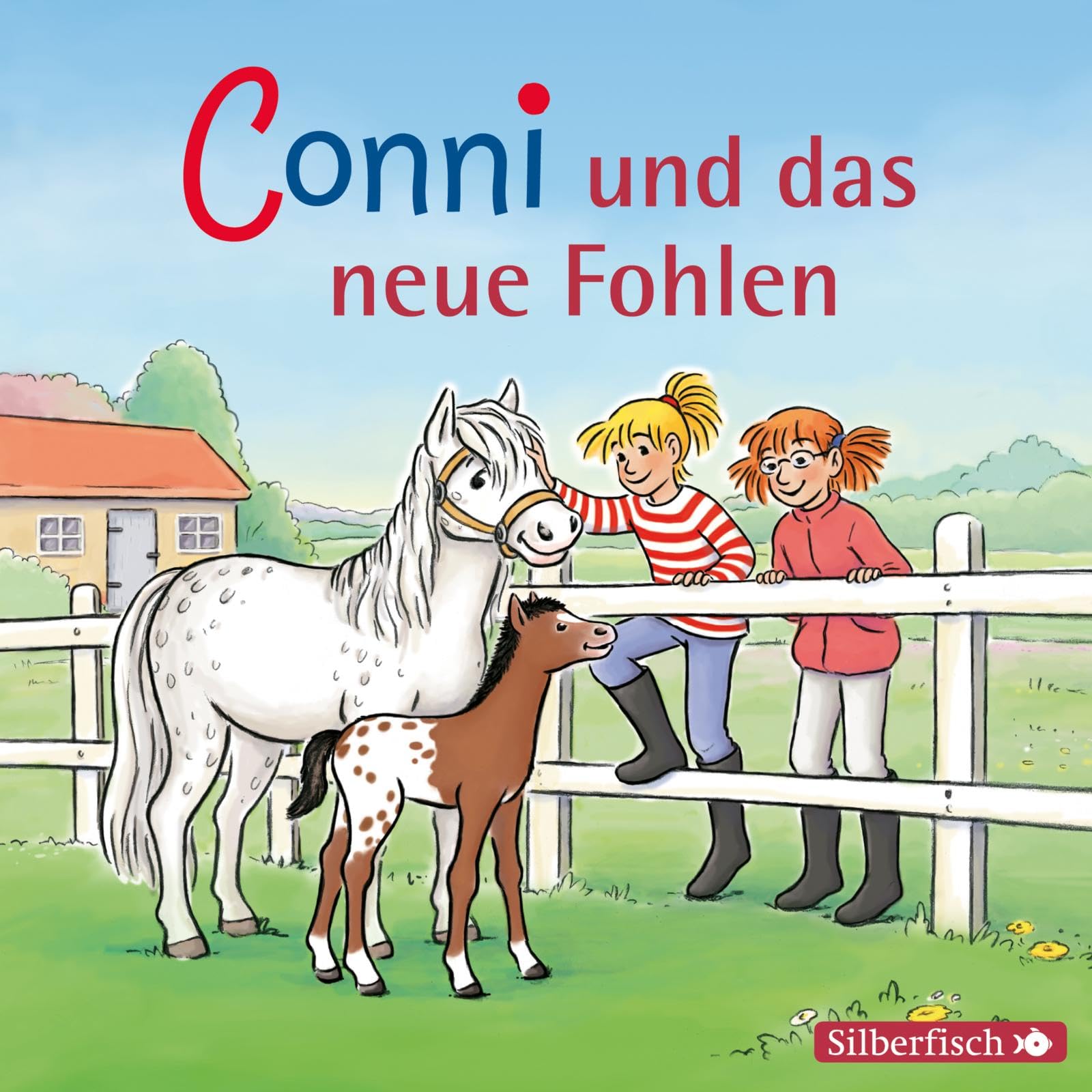 Conni und das neue Fohlen (Meine Freundin Conni - ab 6 22): 1 CD (Meine Freundin Conni - ab 6: Conni ab 6, Band 22) Novels & Short Stories