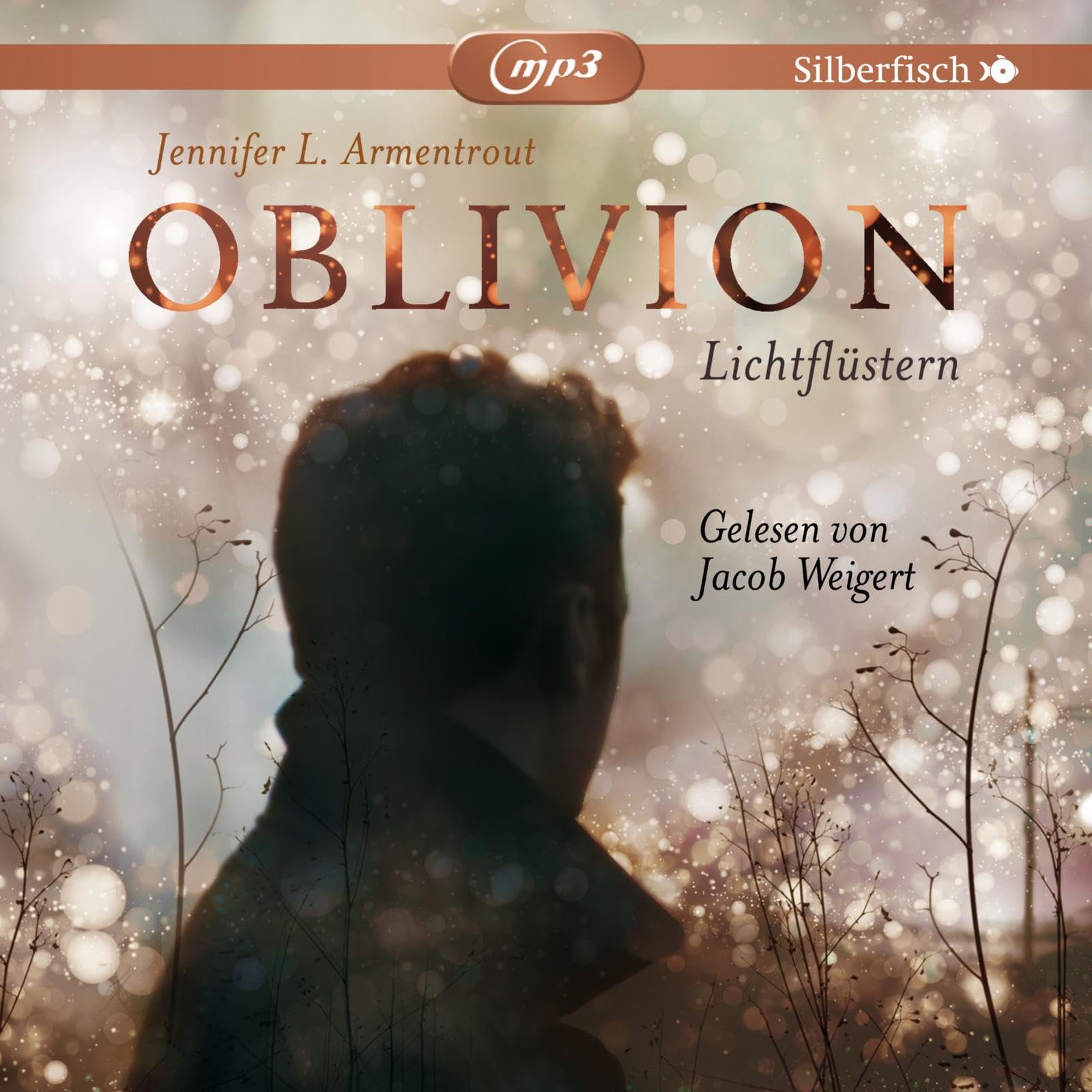 Obsidian 0: Oblivion 1. Lichtflüstern Contemporary literature