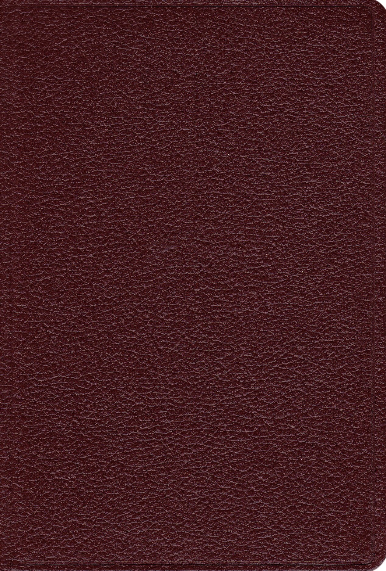 Gotteslob. Katholisches Gebet- und Gesangbuch mit dem erweiterten Diözesanteil Augsburg / Diözese Augsburg: Echtleder (weinrot), mit Goldschnitt book