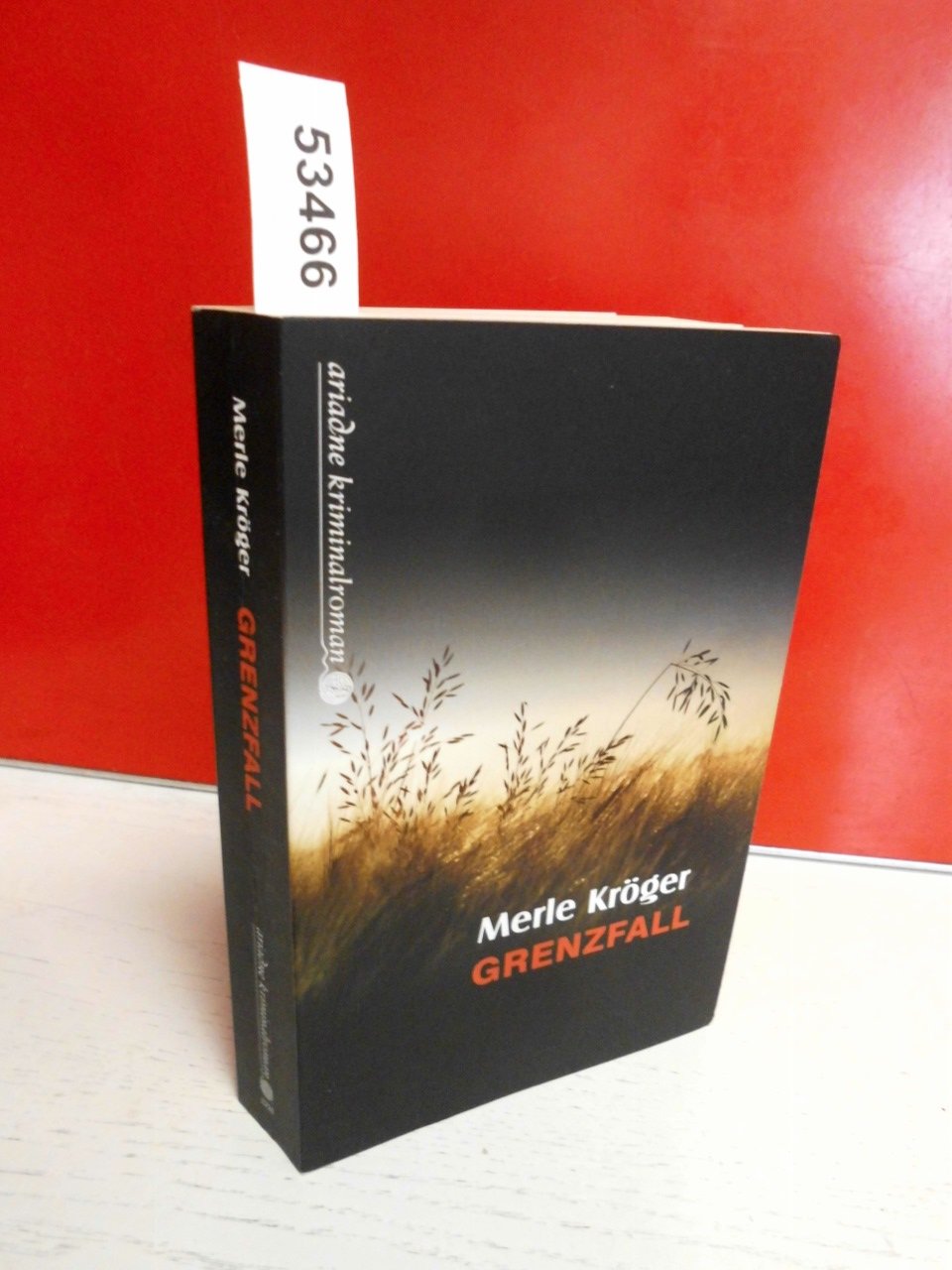 Grenzfall Contemporary literature Books