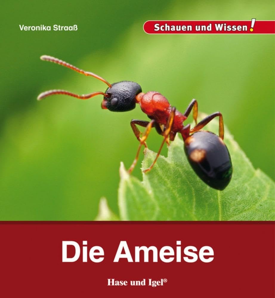 Die Ameise: Schauen und Wissen! Business & Technology