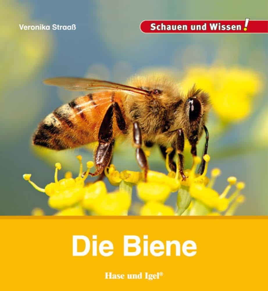 Die Biene Study Guides
