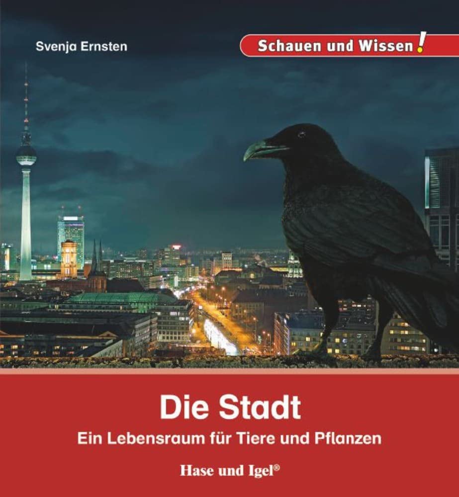 Product Image: Die Stadt