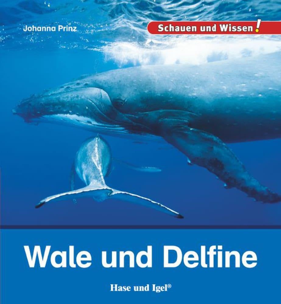 Wale und Delfine Business & Technology