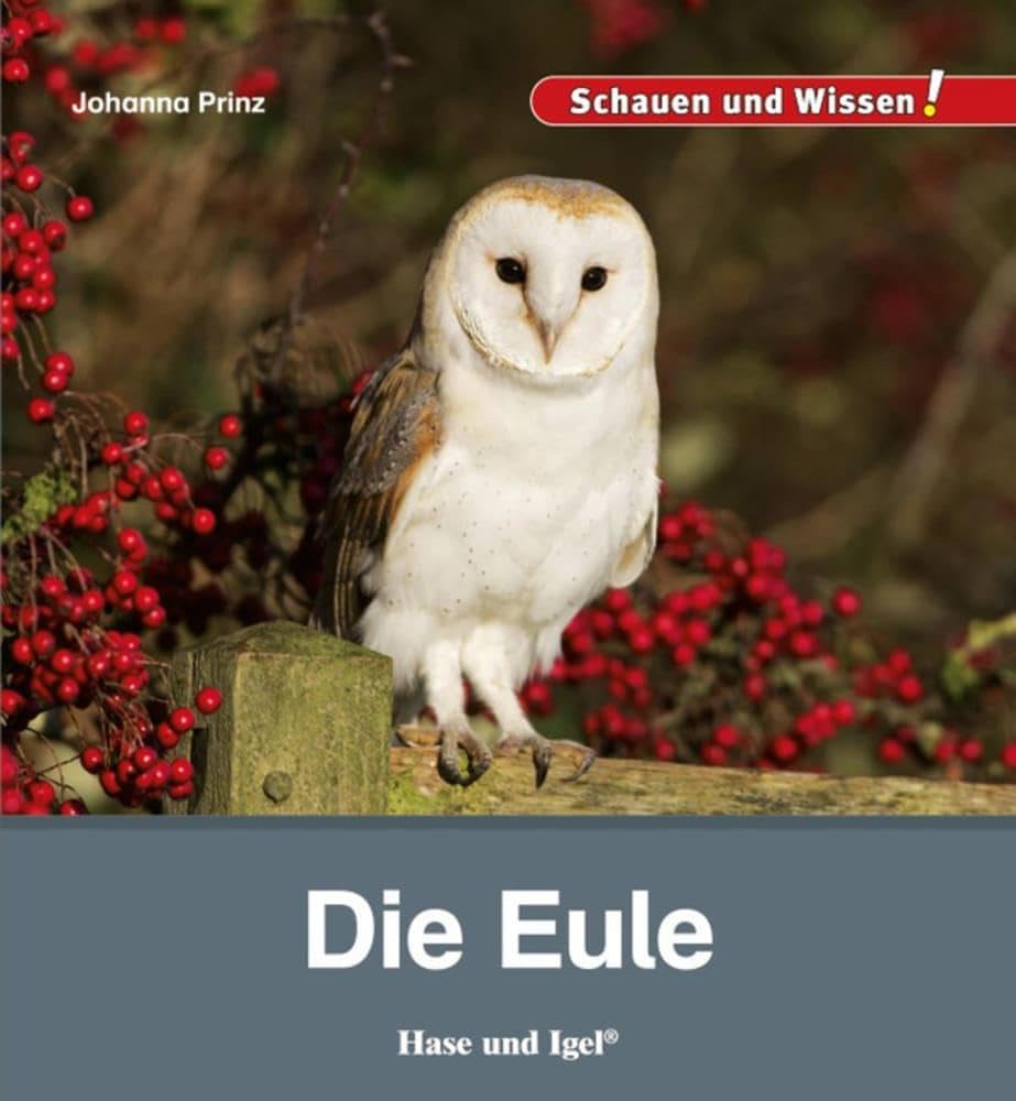 Die Eule: Schauen und Wissen! Business & Technology