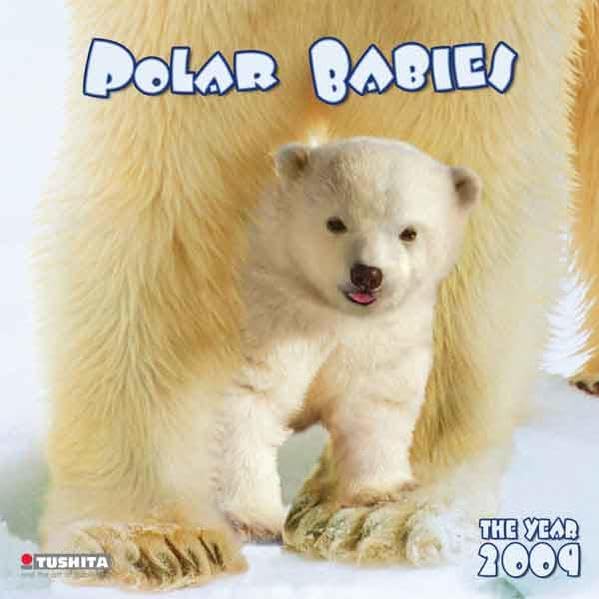 Polar Babies 2009: What a Wonderful World (WHAT A WONDERFUL WORLD 2009) Film, Art & Culture