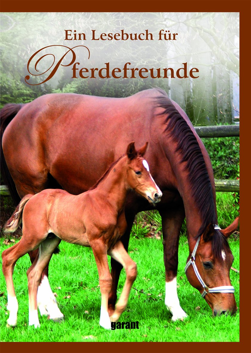 Ein Lesebuch für Pferdefreunde Fiction Books