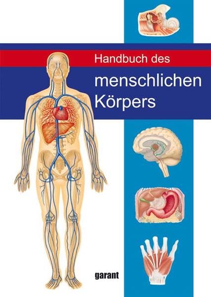 Handbuch des Menschlichen Körpers Medicine