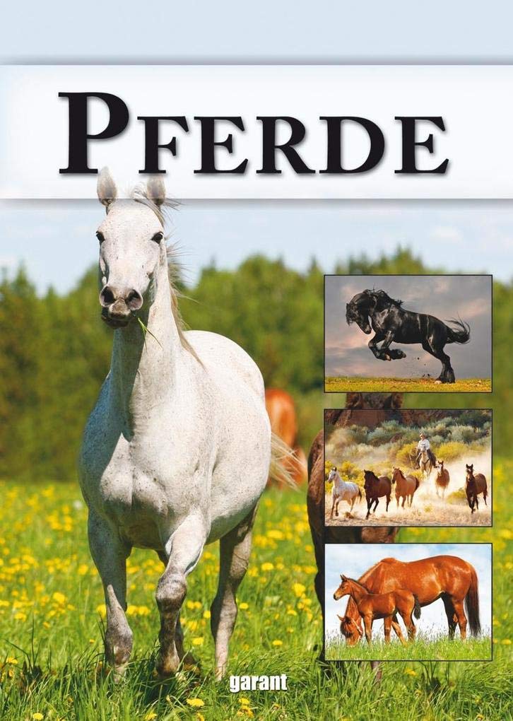 Product Image: Pferde