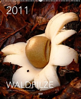 Waldpilze 2011. XL High: Kalendarium dtsch.-engl. m. Platz f. kurze Notizen Books