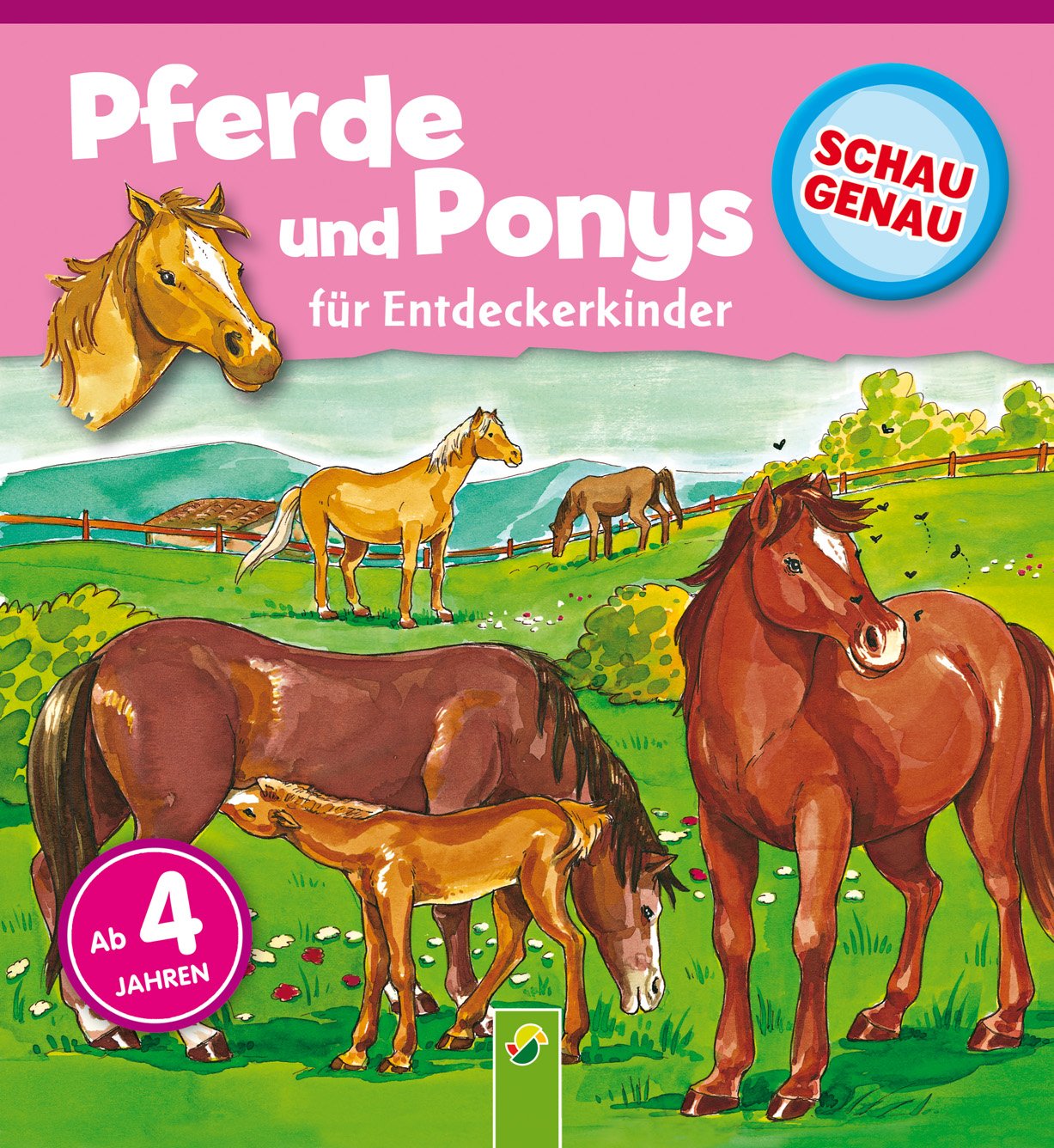 Pferde und Ponys Non-fiction