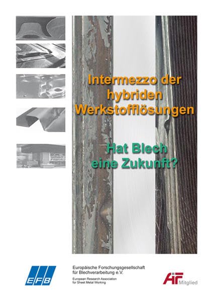 Intermezzo der hybriden Werkstofflösungen: Hat Blech eine Zukunft? (Tagungsband EFB-Kolloquium Blechverarbeitung) Business & Technology
