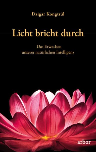 Licht bricht durch Religion & Esotericism