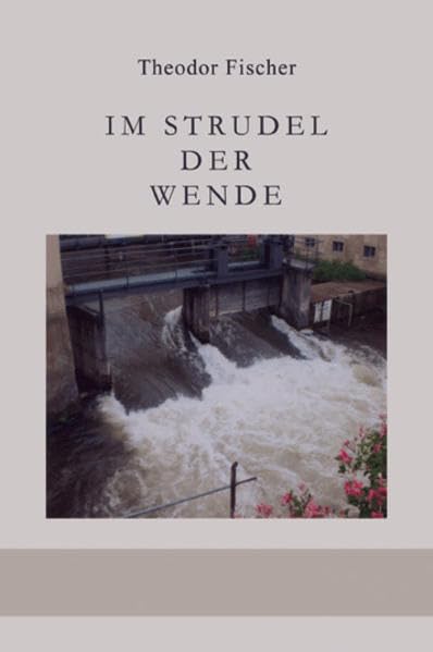 Im Strudel der Wende: Geschichte um die deutsche Einheit Contemporary literature