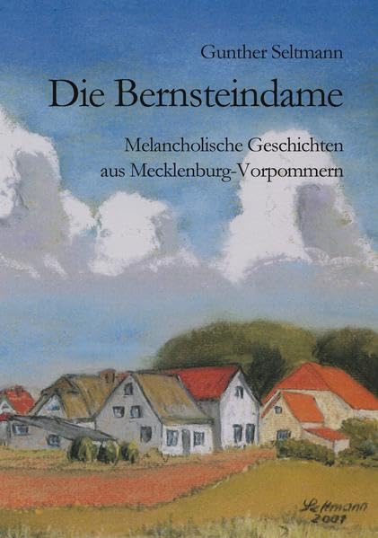 Die Bernsteindame: Melancholische Geschichten aus Mecklenburg-Vorpommern Contemporary literature