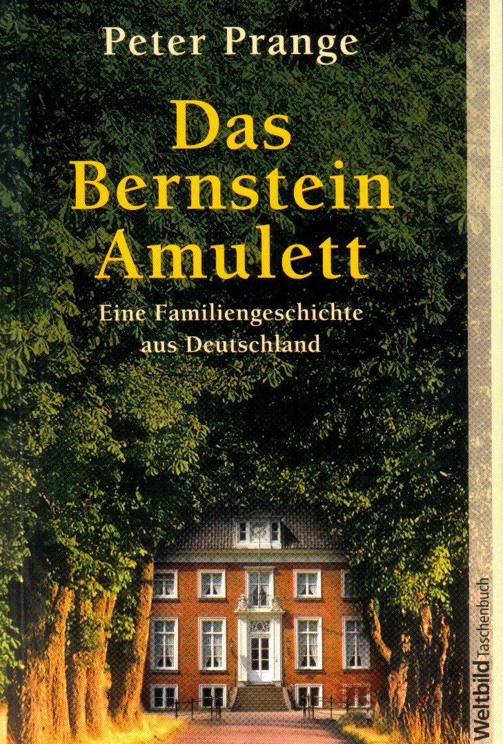 Das Bernstein Amulett. Eine Familiengeschichte aus Deutschland. Books