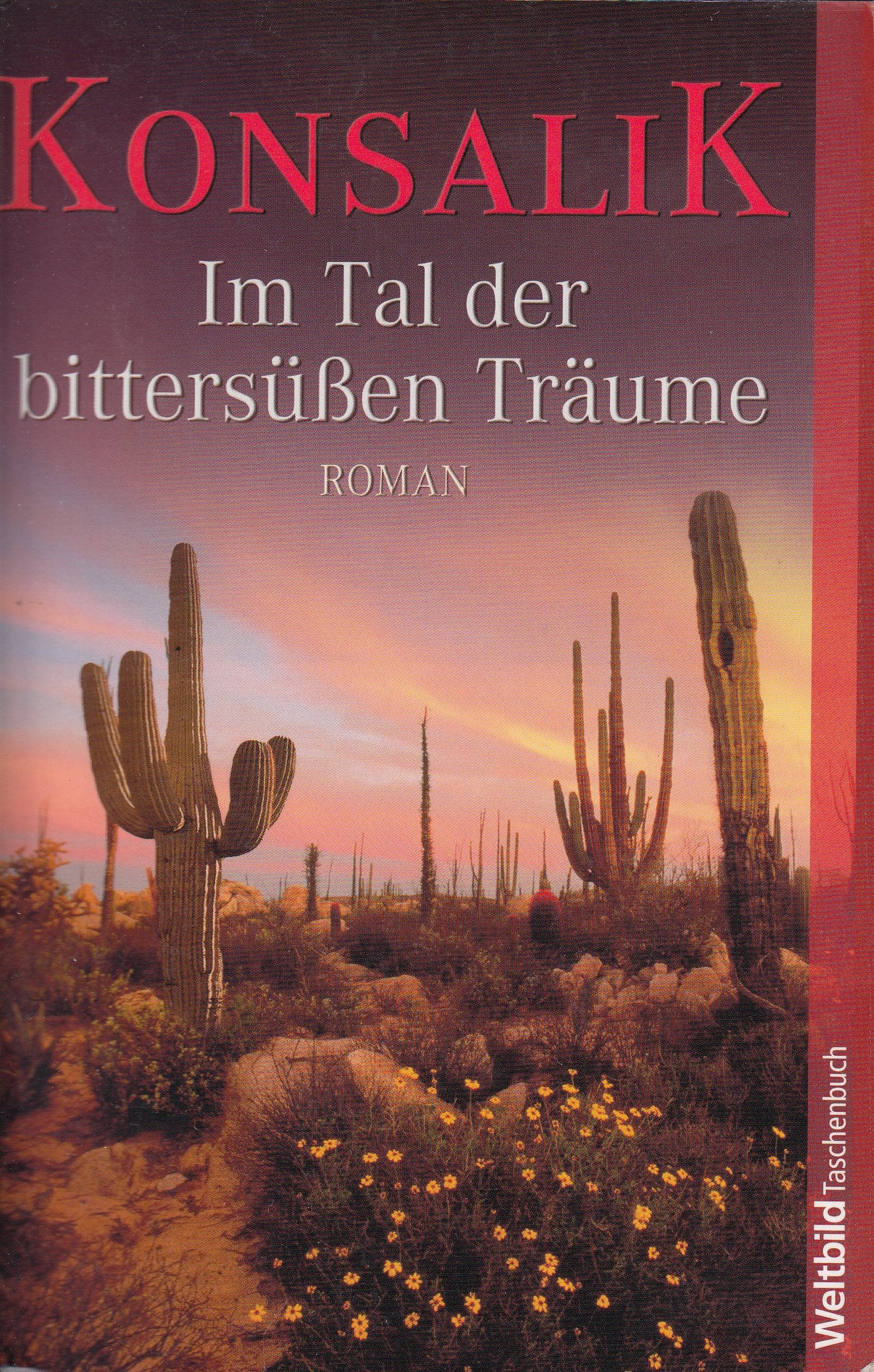 Product Image: Im Tal der bittersüßen Träume