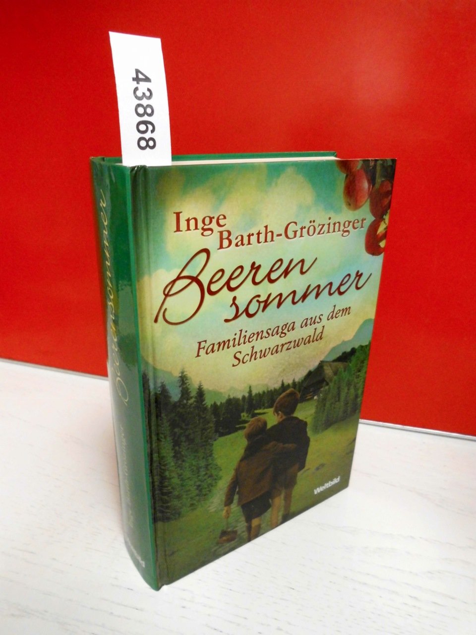 Beerensommer - Familiensaga aus dem Schwarzwald Contemporary literature