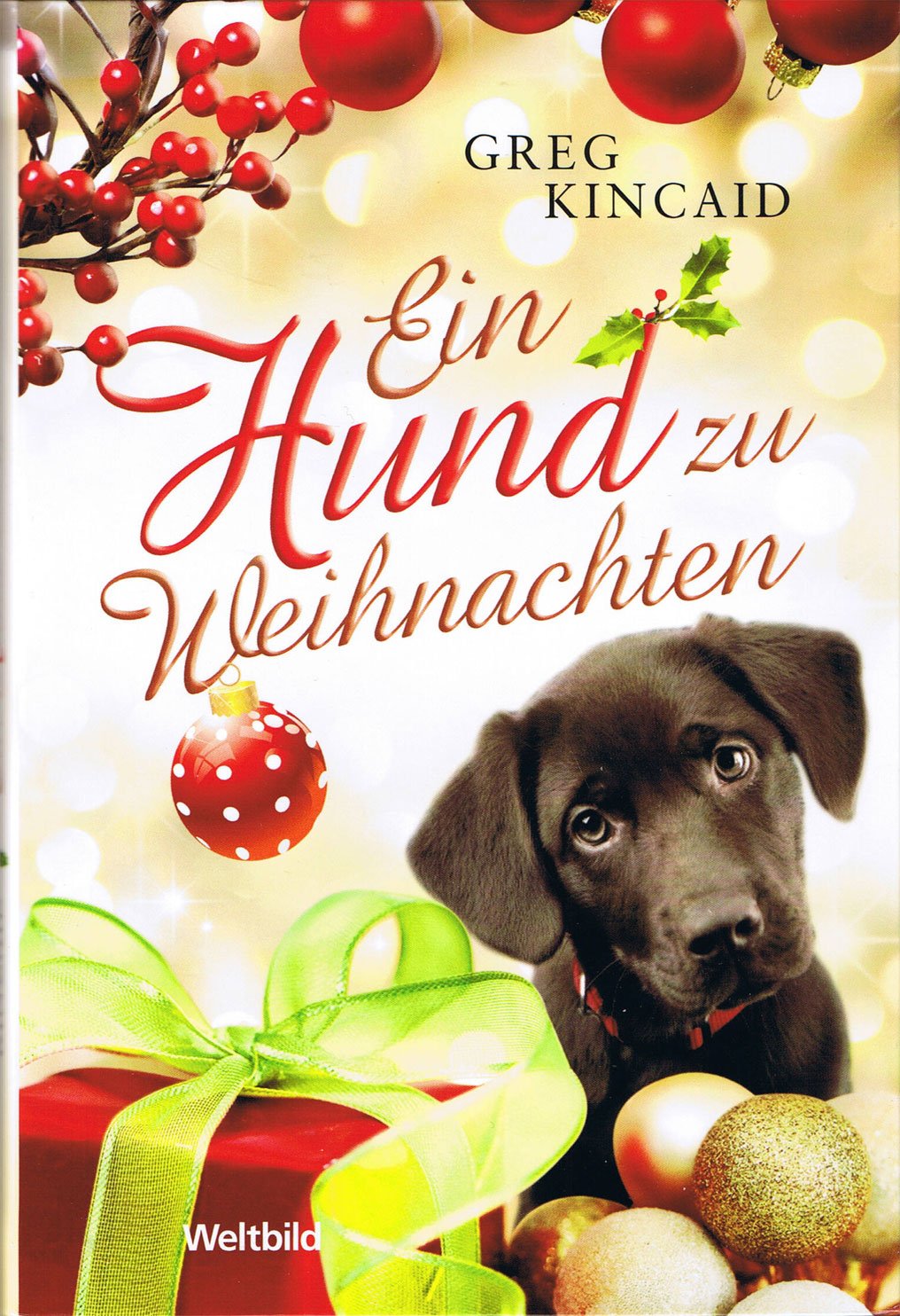 Ein Hund zu Weihnachten, Aus dem Amerikanischen von Gabrile Zigldrum, Books
