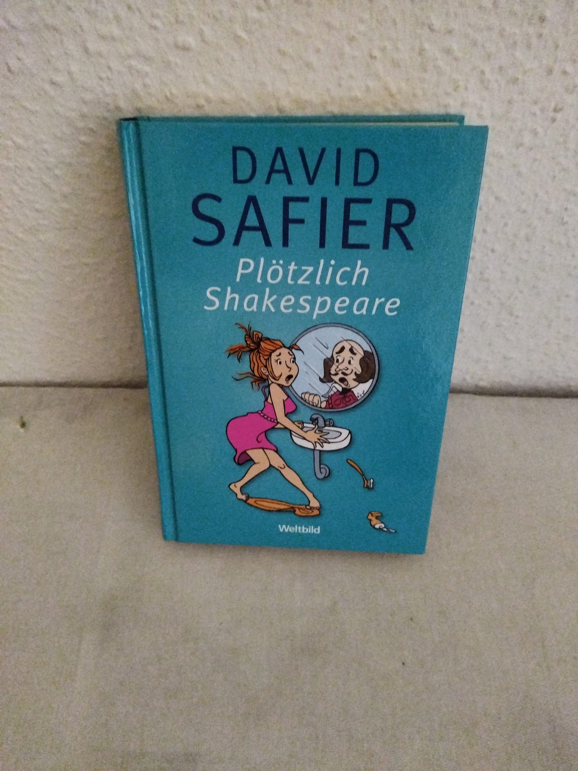 Plötzlich Shakespeare : Roman. Contemporary literature