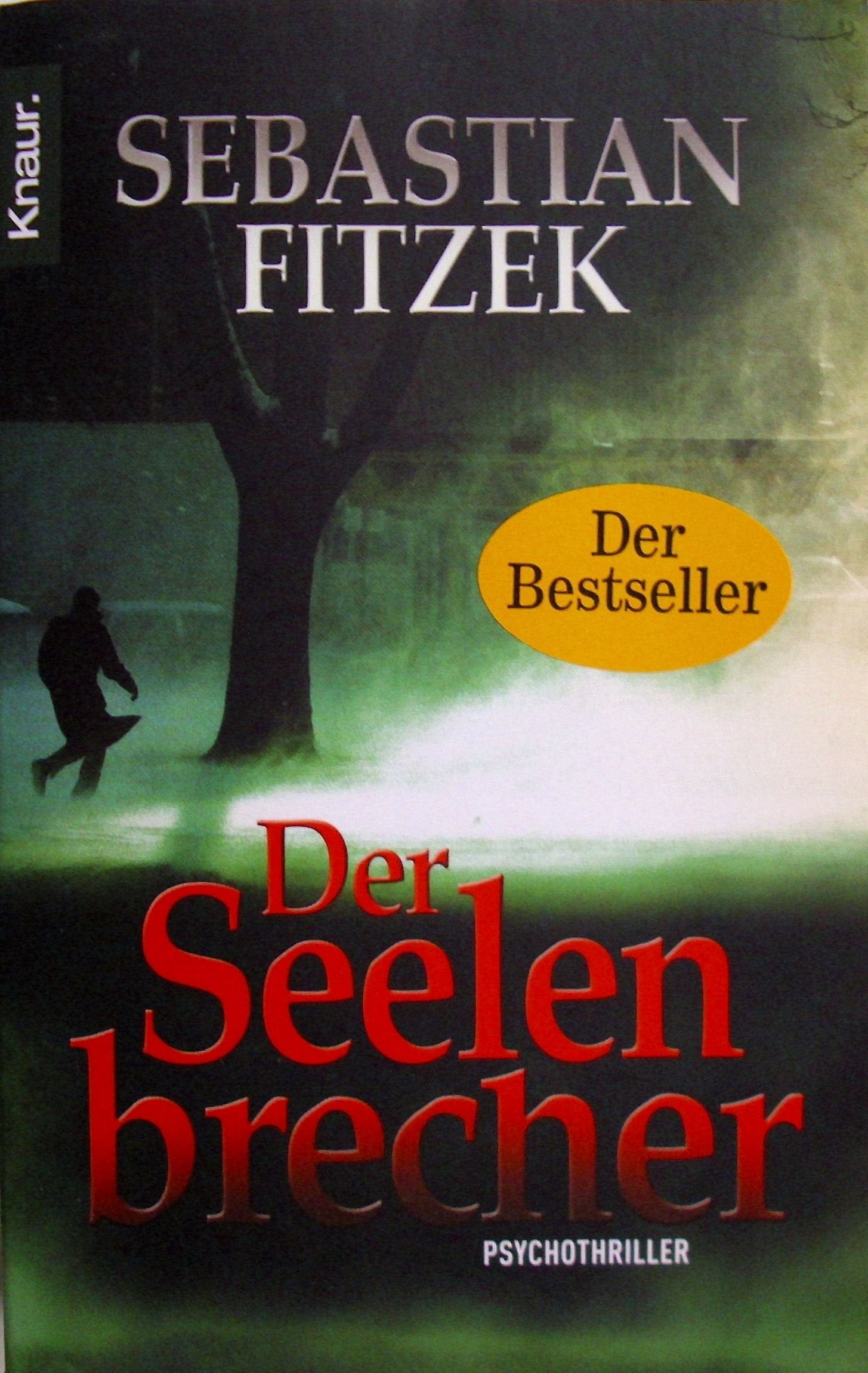 Der Seelenbrecher Contemporary literature Books
